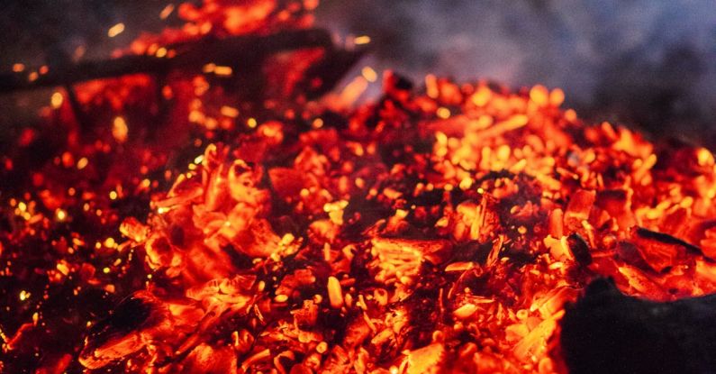 Fuel Injector - Ember