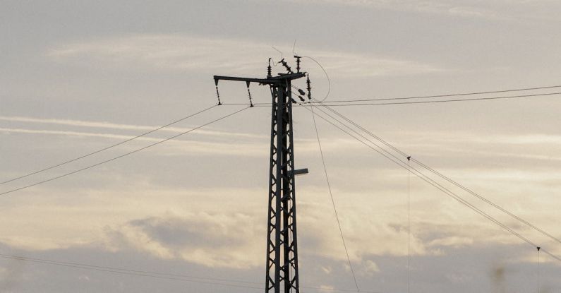 Transmission Fluid - A power pole with a bird flying by