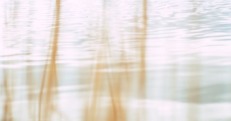 Transmission Flush - Body of Water