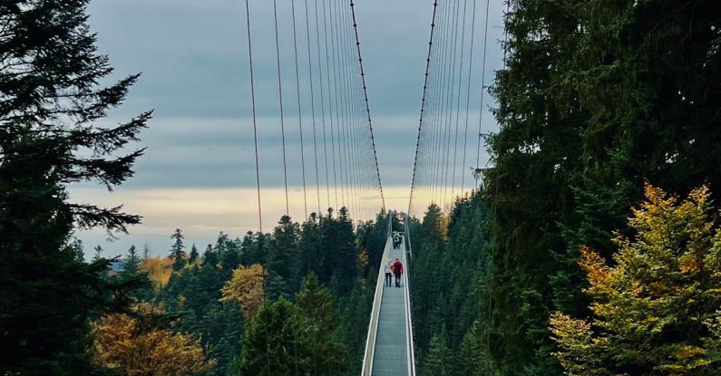 Coilover Suspension - Black Forest 3 - #shotoniphone