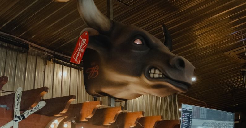 Bull Bar - Bull Head Decoration in Bar